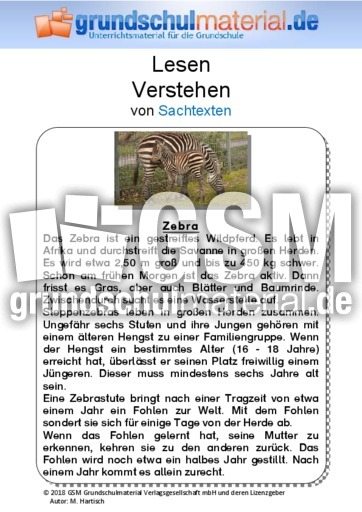 Zebra - Sachtext.pdf